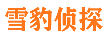 秀城侦探公司